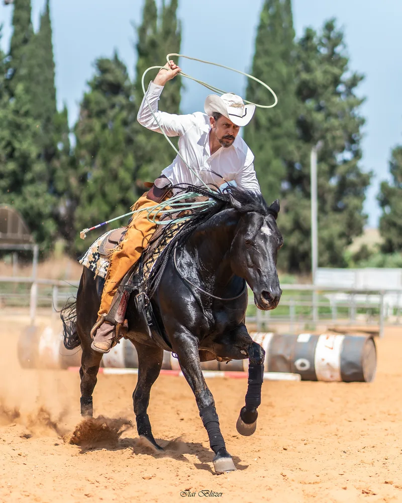 Equestrian