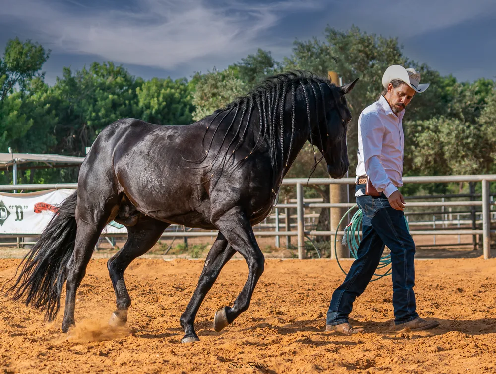 Equestrian