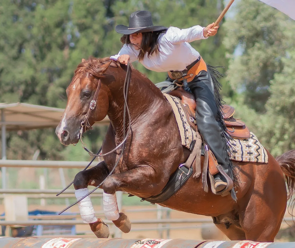 Equestrian