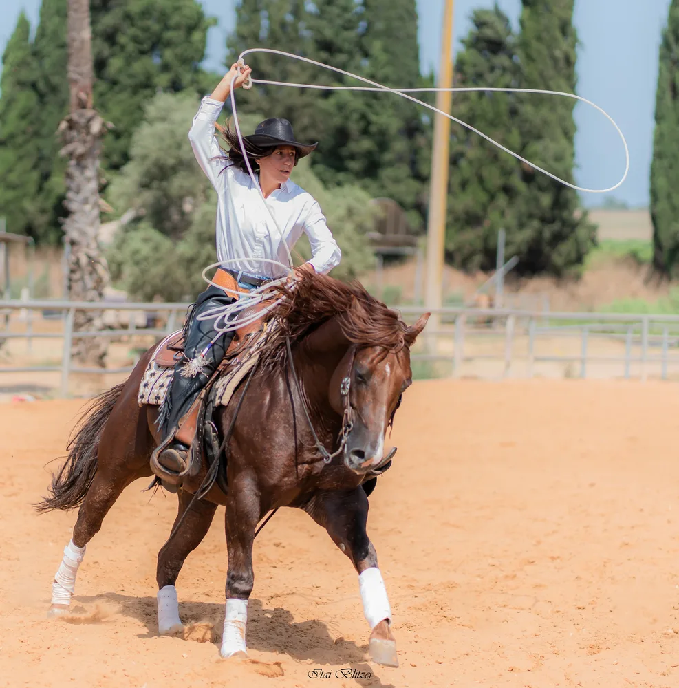 Equestrian