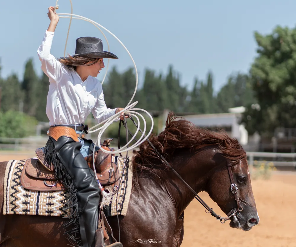 Equestrian