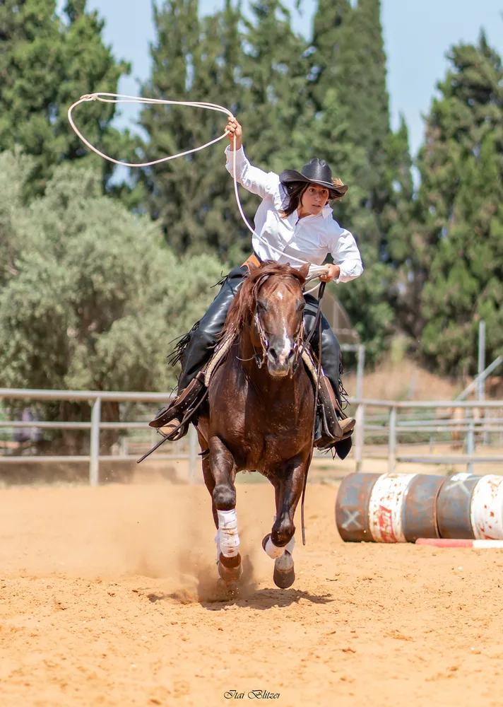 Equestrian