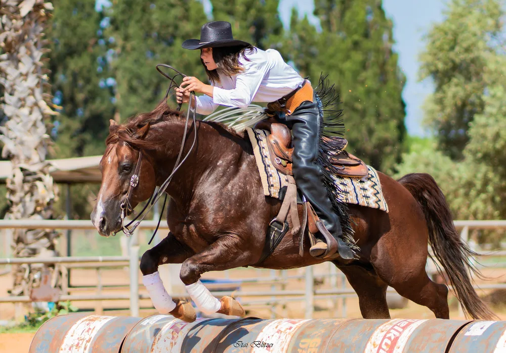 Equestrian