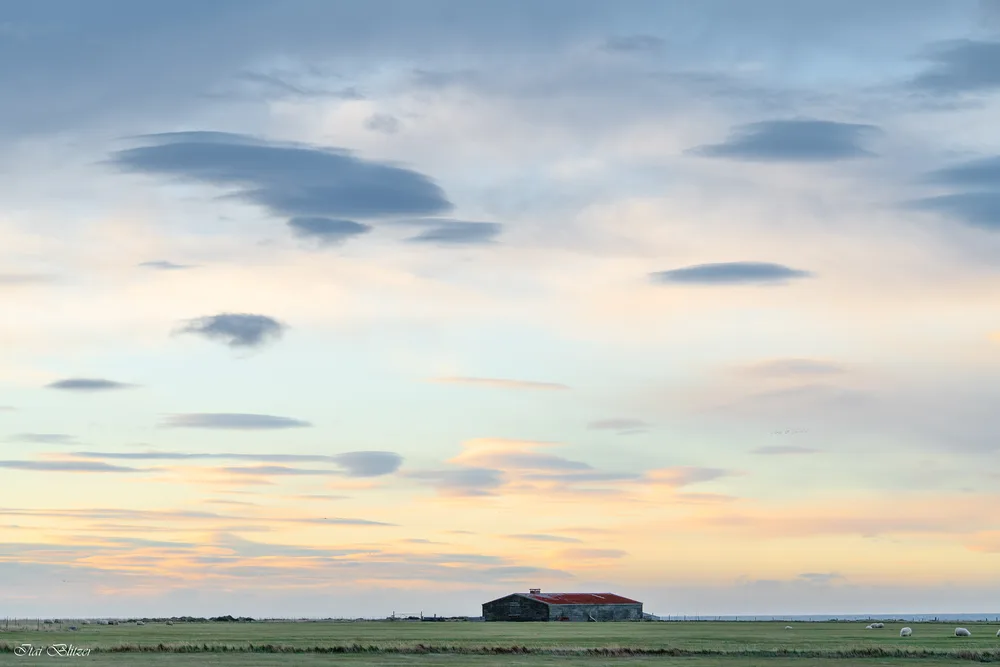 Landscape