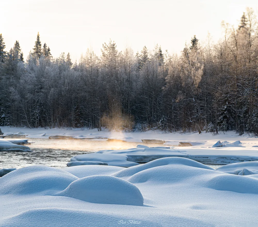 Winter