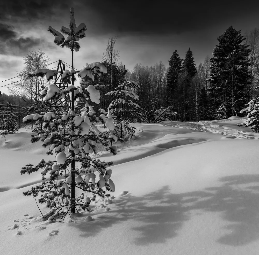 Winter